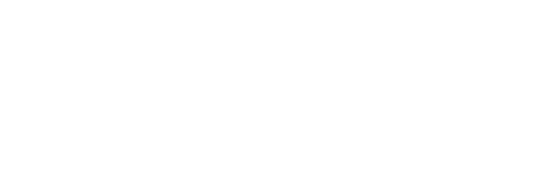 natalia volohova logo (4)